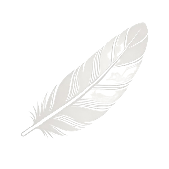 illustrations