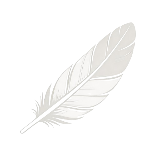 illustrations